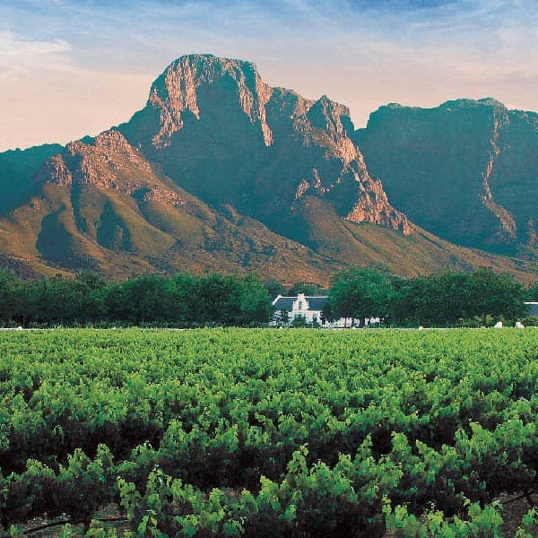 Wildlife in Masai Mara, Kenya