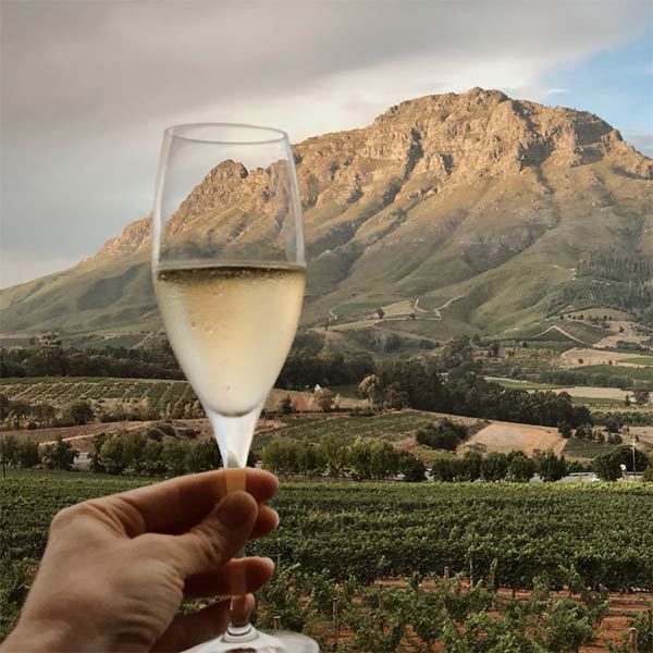 Stellenbosch in the Winelands